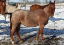 Roan
